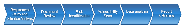 security_assessment